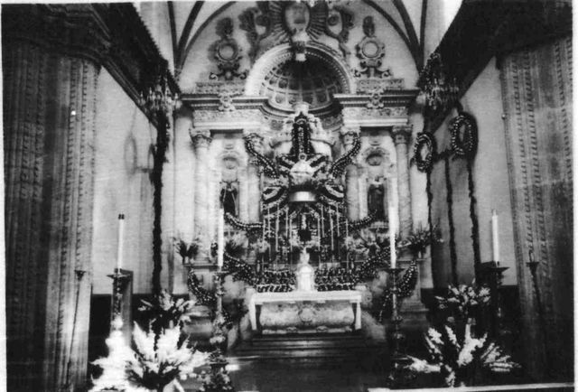Sin Nombre